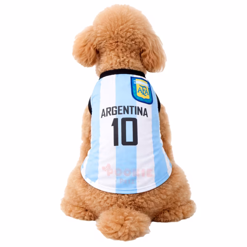 Argentina Pet Jersey Dog