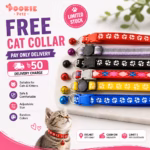 free cat collar sylhet