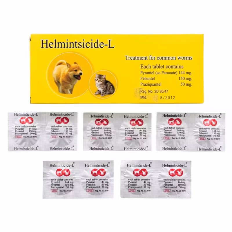 Helminticide L deworming tablet for dogs and cats on a clean background